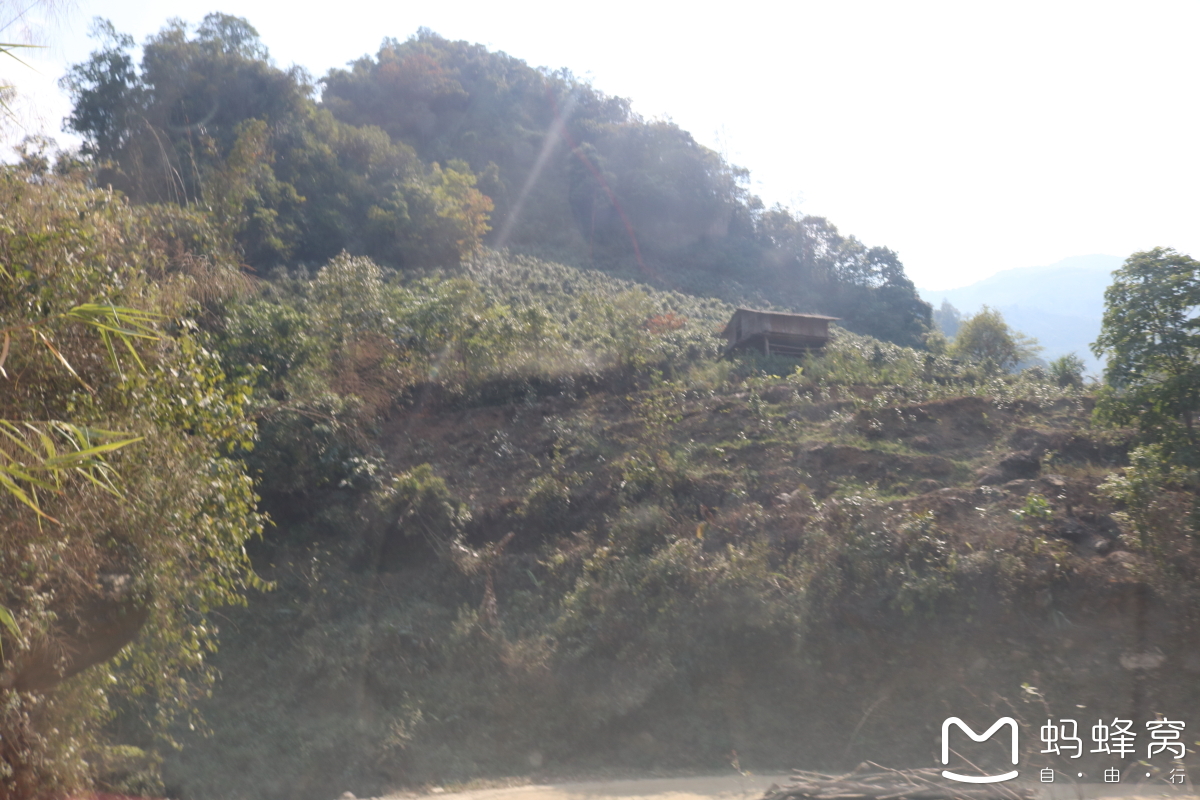 上山寻茶 双江县勐库镇小户赛(滇西山路风景之六)