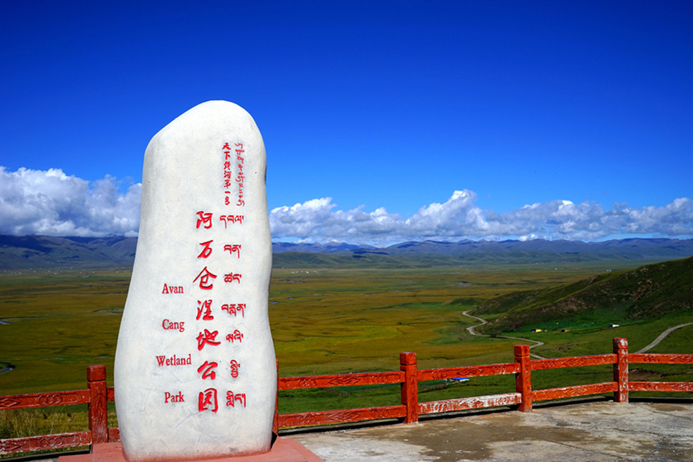               :阿万仓湿地公园