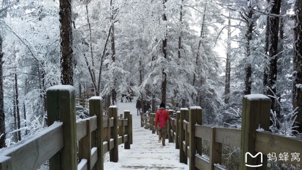 西岭雪山什么时候开门 wKgBZ1h0lsiAJDGcAA_UsRqt1Jk12.jpeg?imageView2%2F2%2Fw%2F600%2Fh%2F600%2Fq%2F90