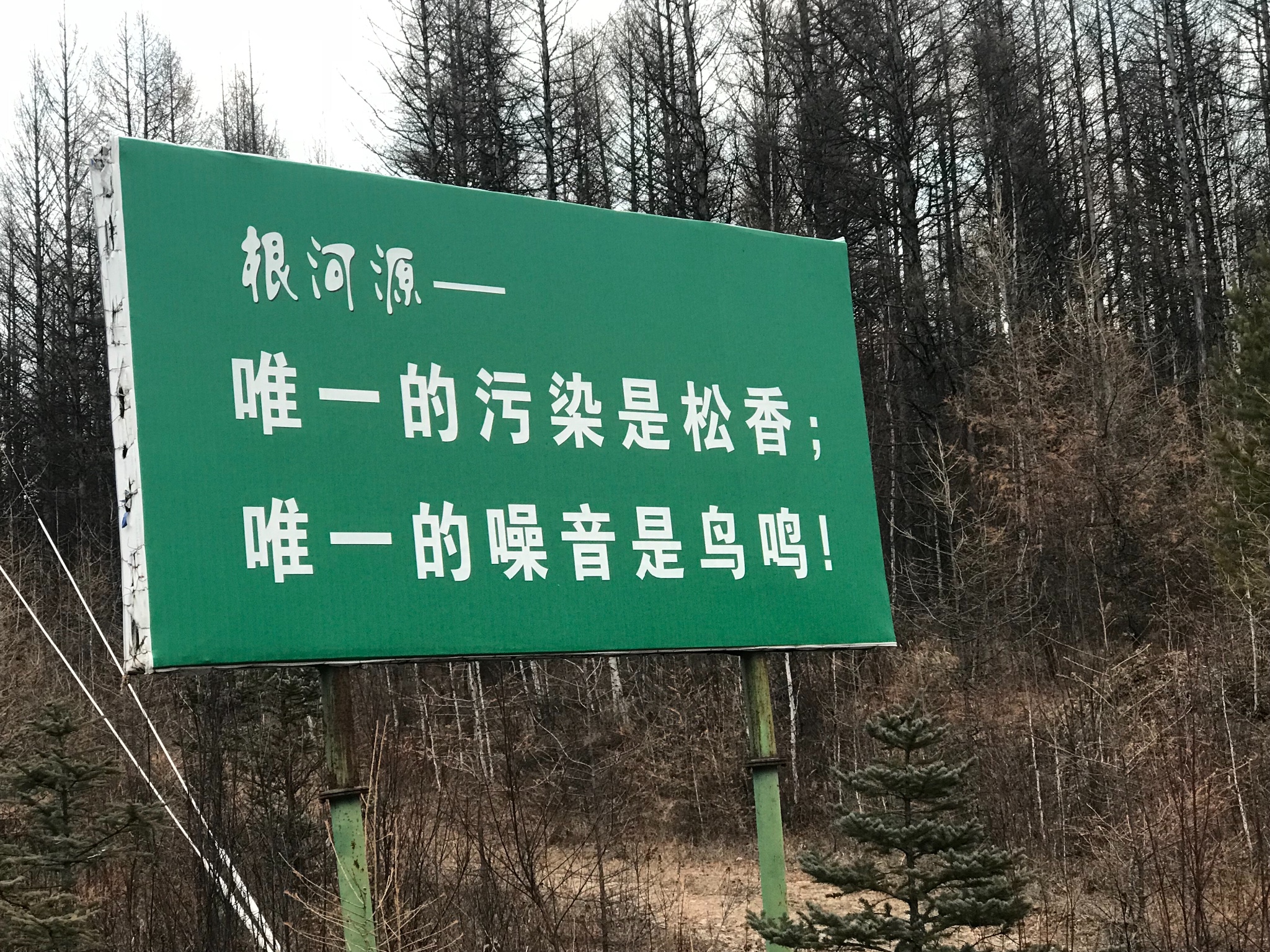 草原的秋天歌曲谱_秋天的草原图片(3)