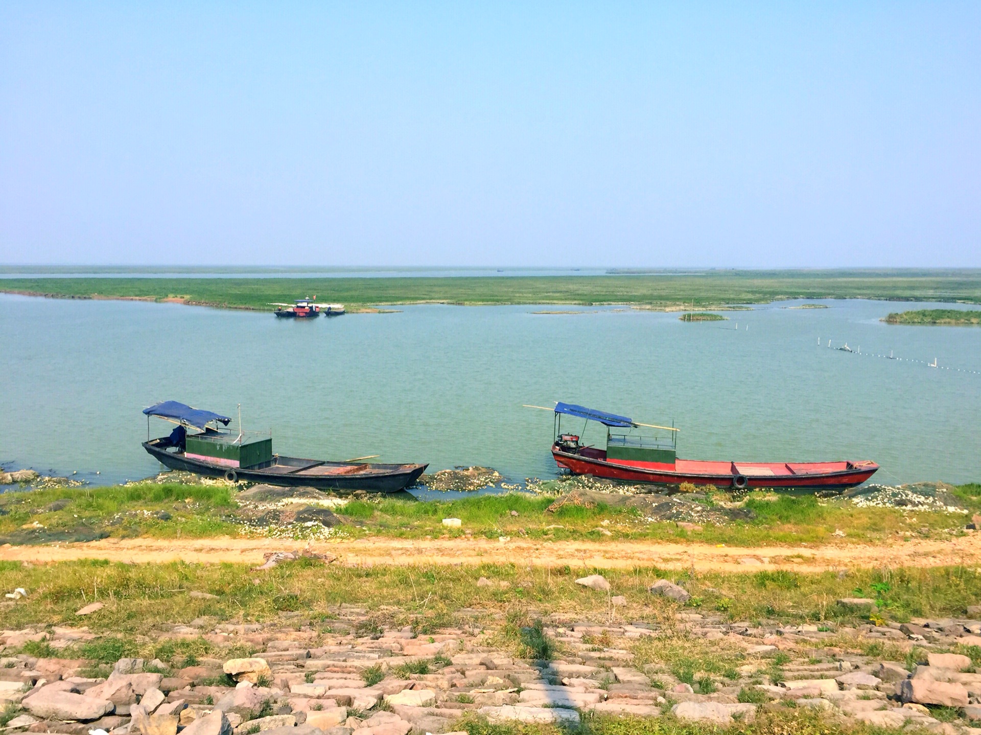 鄱阳湖的蓼子花海(手机拍摄),鄱阳湖旅游攻略 - 马蜂窝