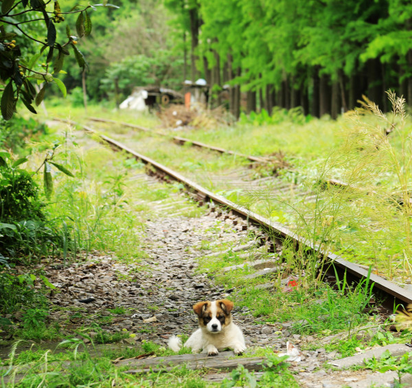 这个苏州的火车站 有没有拐走过你的姑娘 苏州自助游攻略 马蜂窝