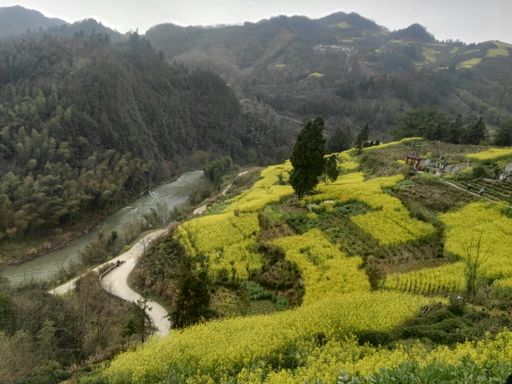 (13次)爬山看水看瀑布游古镇之旅合集一一皖南山区,淮北平原,江淮丘陵