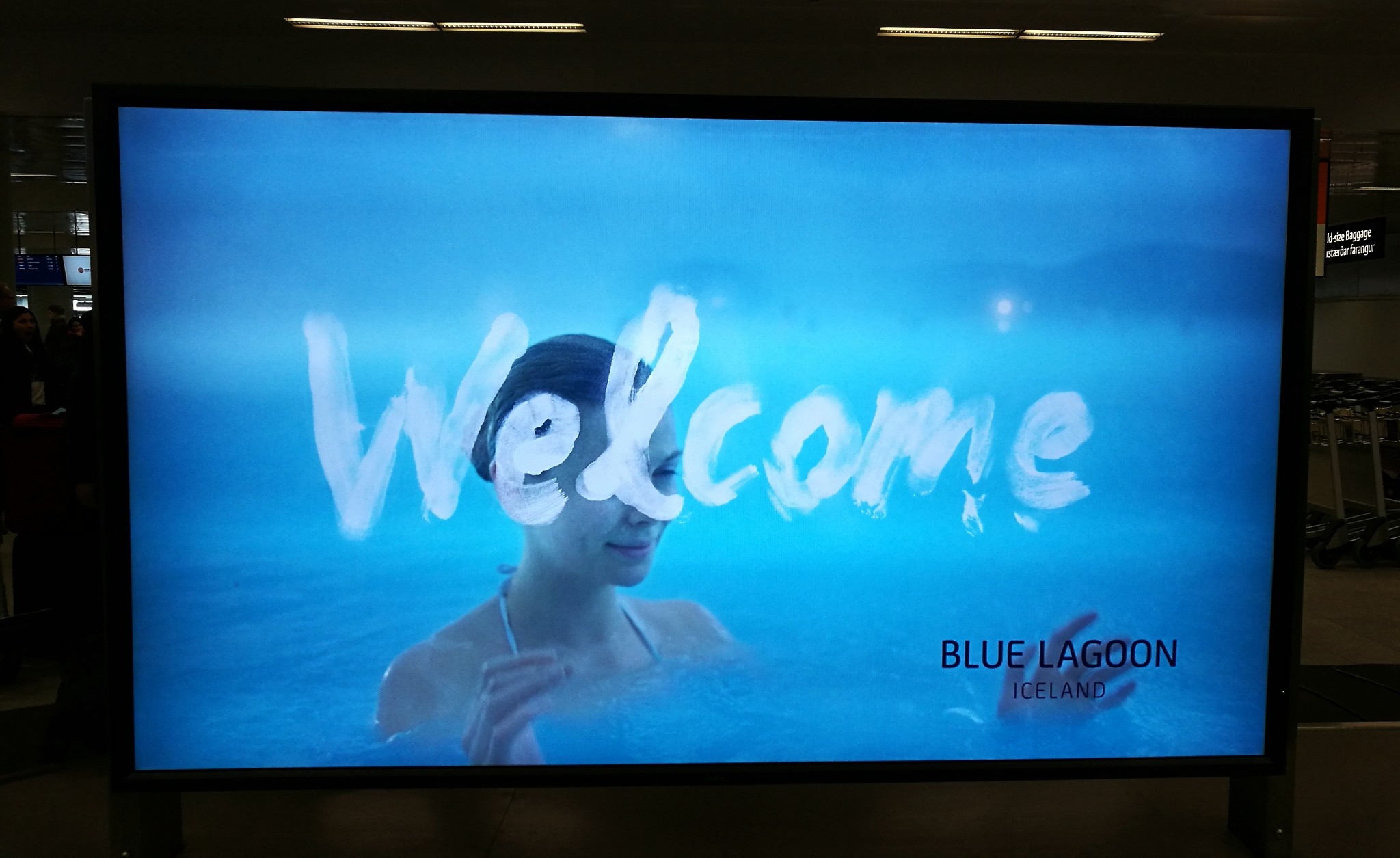 冰岛渔业gdp_冰岛极光(2)