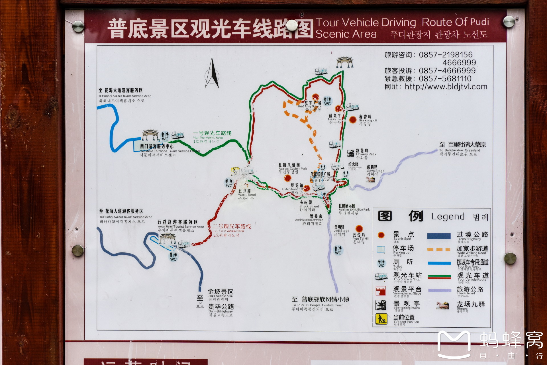 最美好的遇见:毕节百里杜鹃旅行攻略,毕节旅游攻略