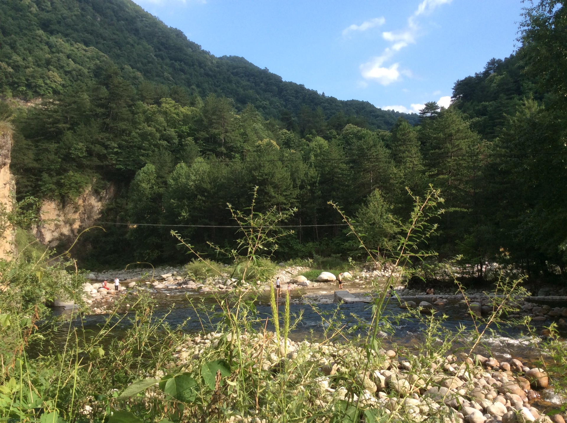 在秦岭黑河森林公园看景色