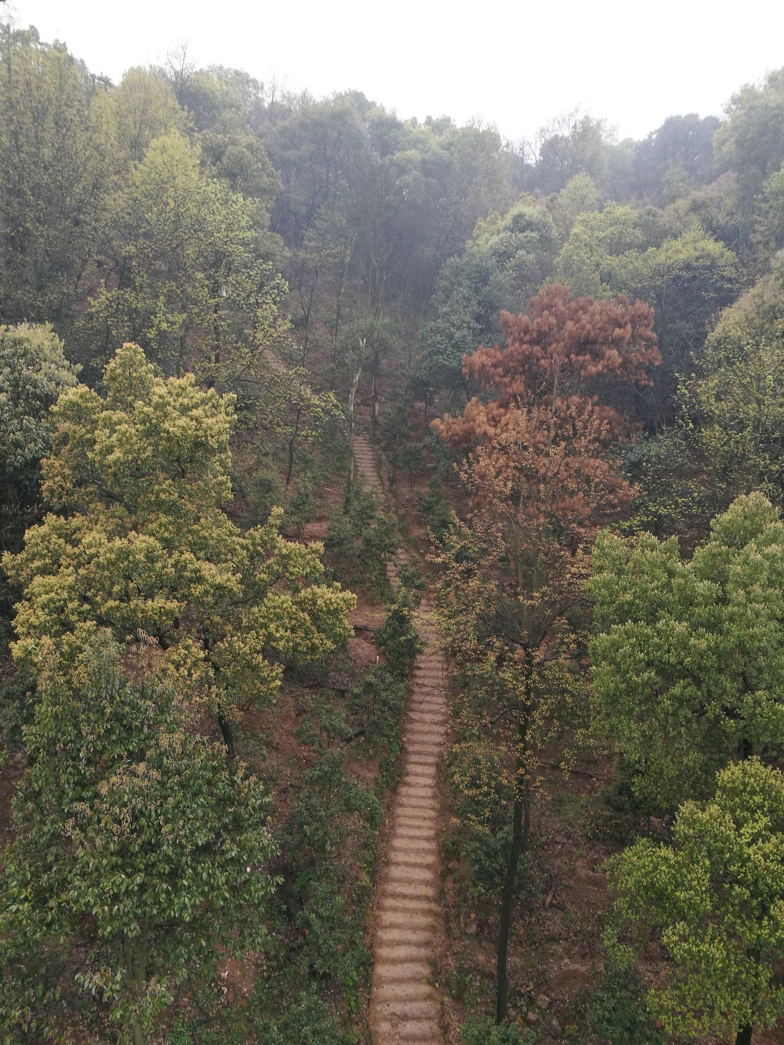 进门后抬头便见岳麓山 乘坐岳麓山索道到山顶,然后步行下山从南门出