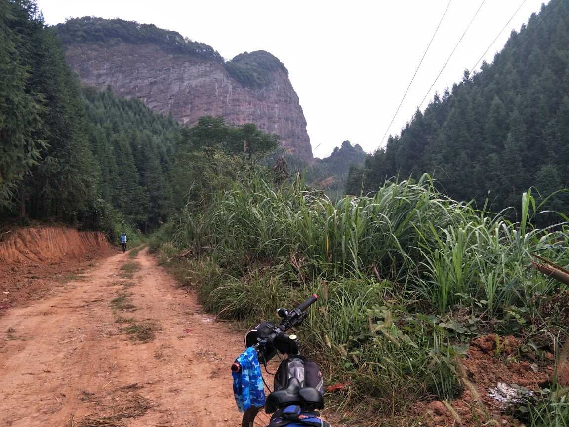 桂东县有多少人口_桂东春茶那口鲜,不负人间四月天,全民品茶 万人试喝 免费赠(3)