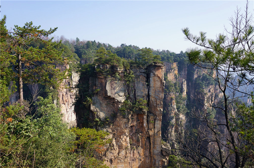 22张家界武陵源之天子山   去神堂湾观景台路上东侧岩壁(顺光)   观景