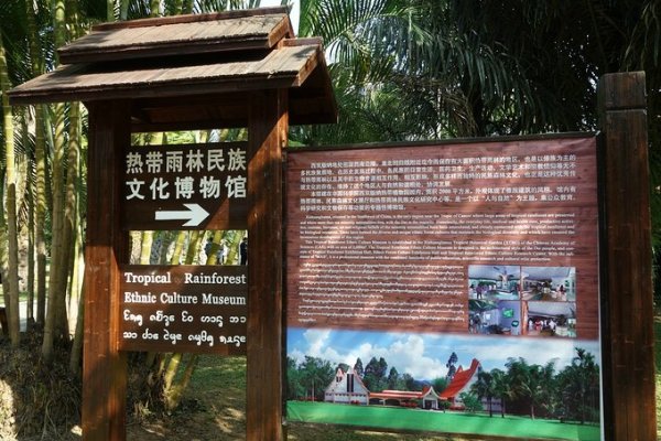 名树园游玩攻略,名树园游玩攻略大全