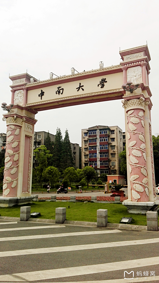 中南大学(本部北校区)     