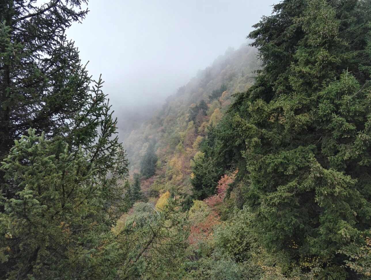 大墩峡曲谱_大墩峡景区