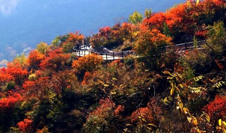 北京坡峰岭风景区电子票坡峰岭门票商家券码和身份证直接入园