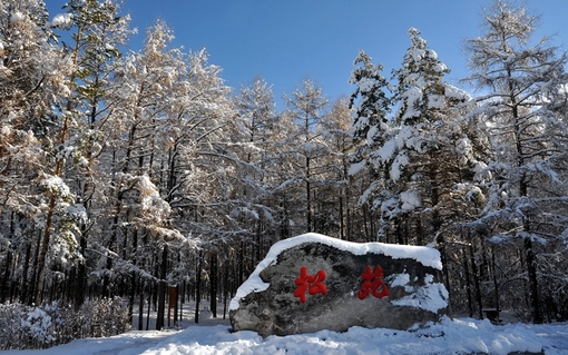 乐游冬季漠河 北红村 北极村 圣诞村3日特惠之旅(赠东北特色小食品