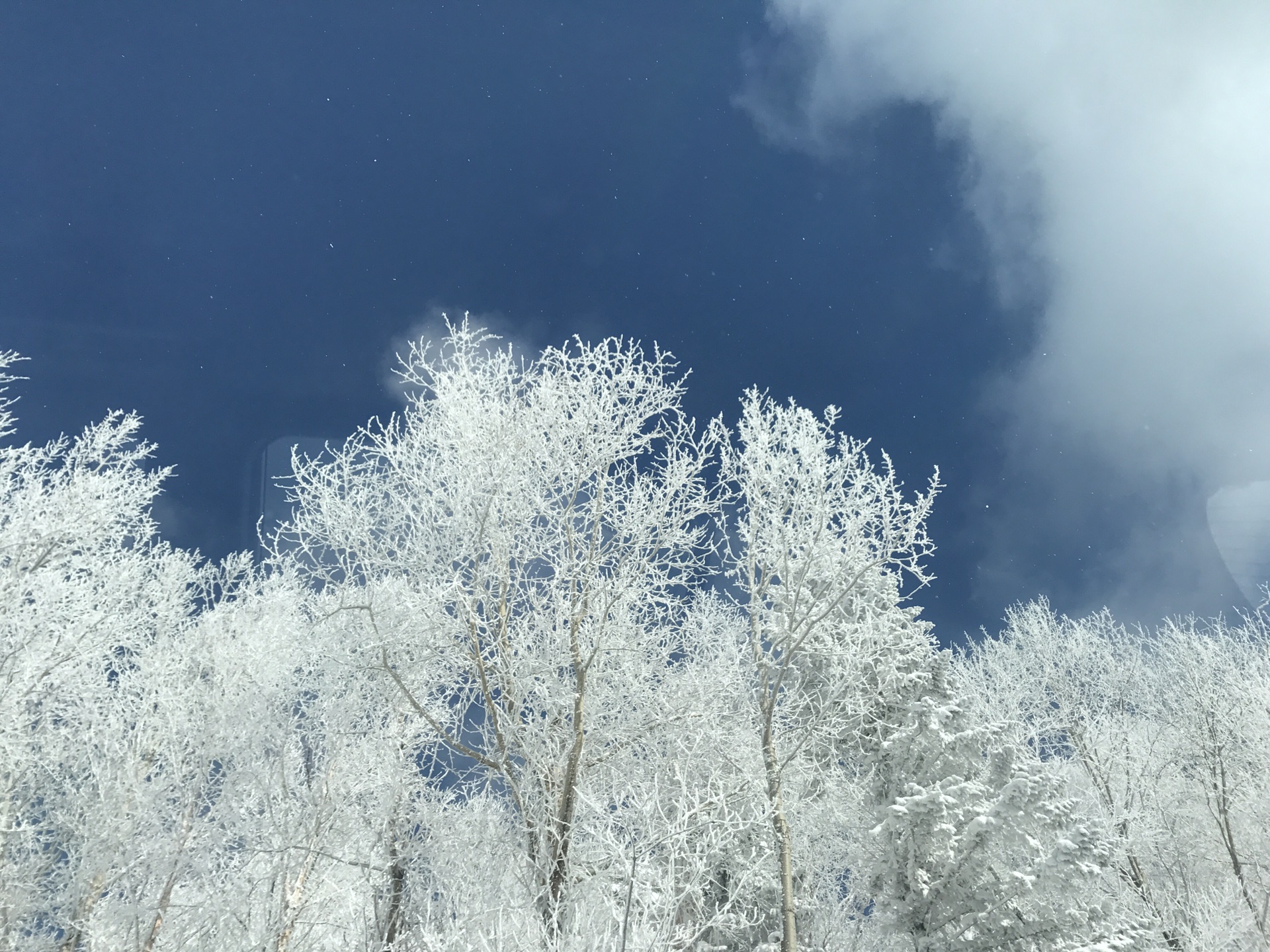 成语什么雪皑皑_有关雪的成语大全(2)