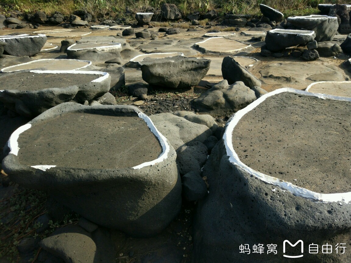 海口怎么搭渡轮回湛江_湛江西到海口火车硬卧