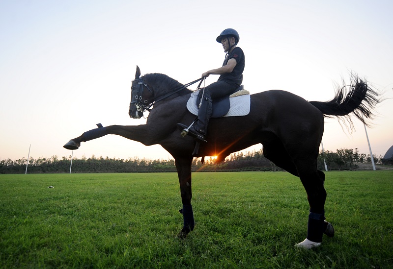 骏马之舞 赫雷斯·德拉弗龙特拉Jerez de la Frontera皇家马术表演