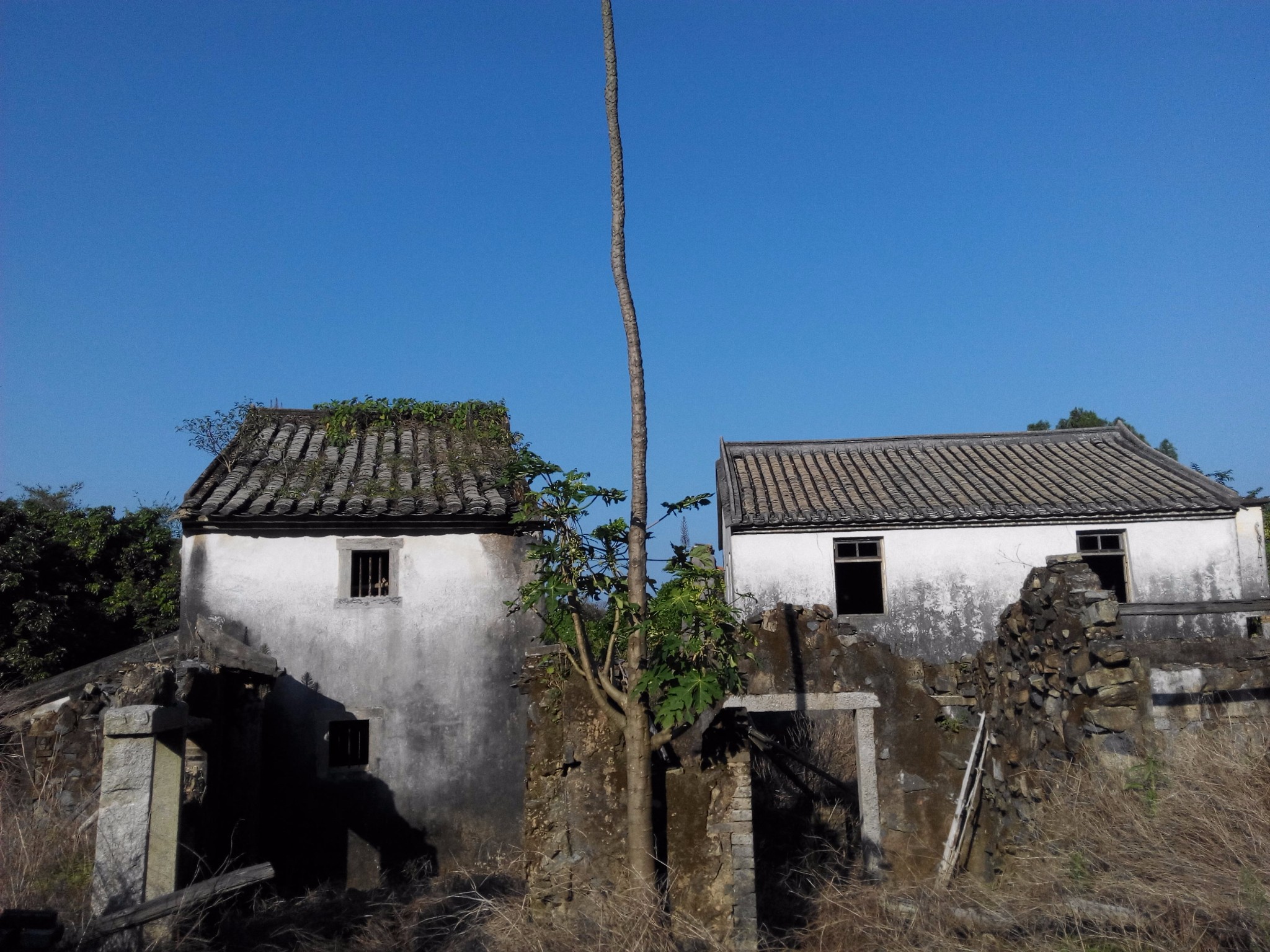 七娘山-高岭古村穿越,蒹葭苍苍,初秋的凉.