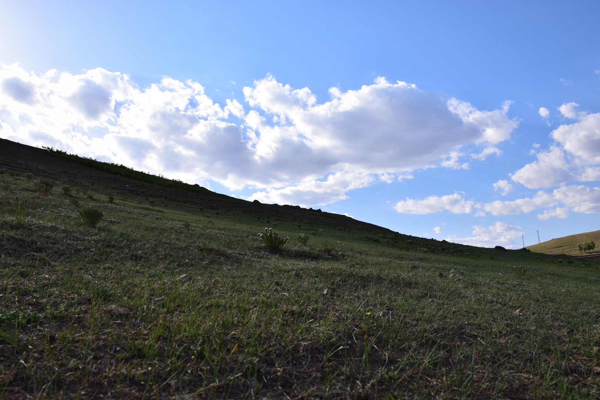 丰宁天气怎样 这几天适合去么