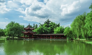 橘子洲景区