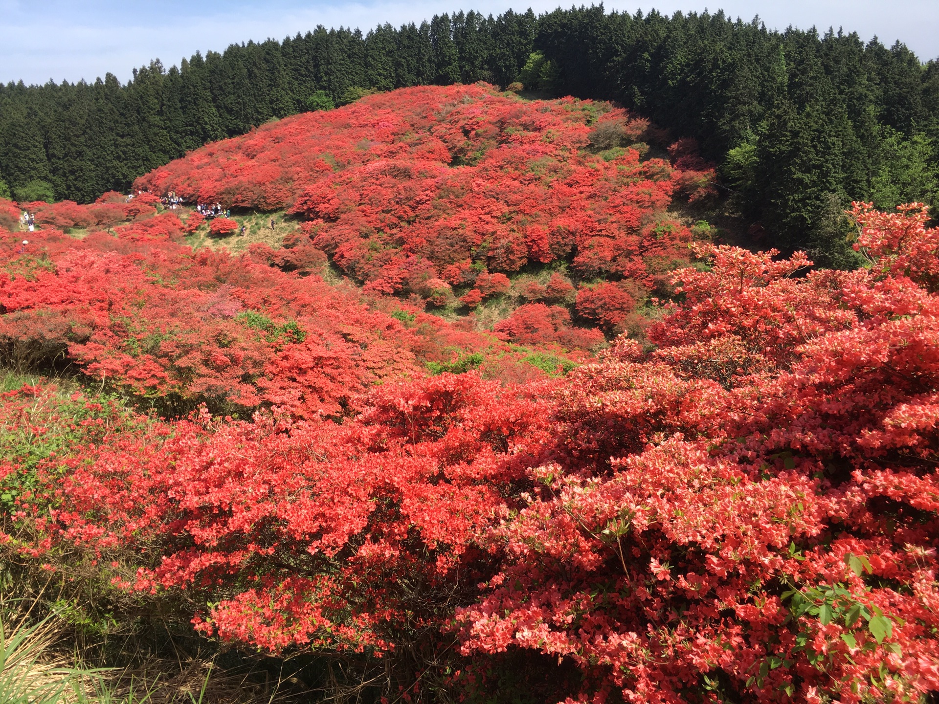 奈良葛城山