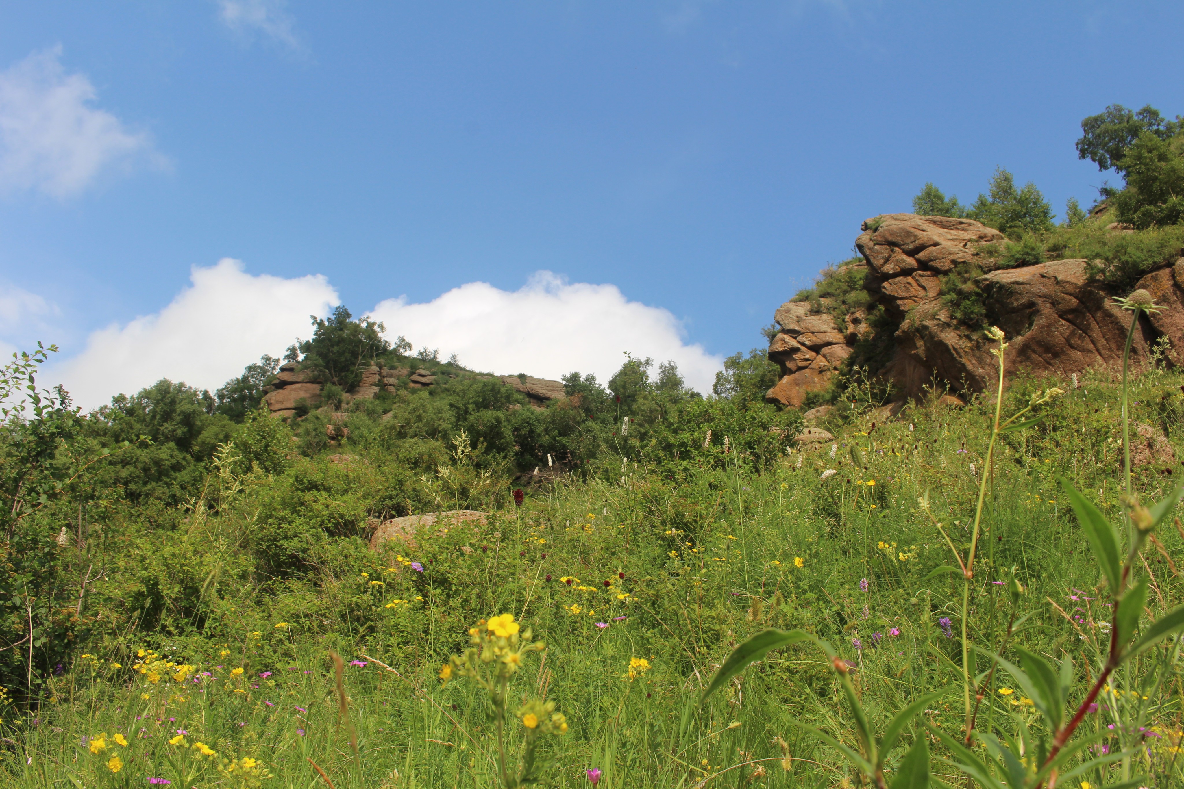 呼和浩特周边去哪里玩儿比较好啊?