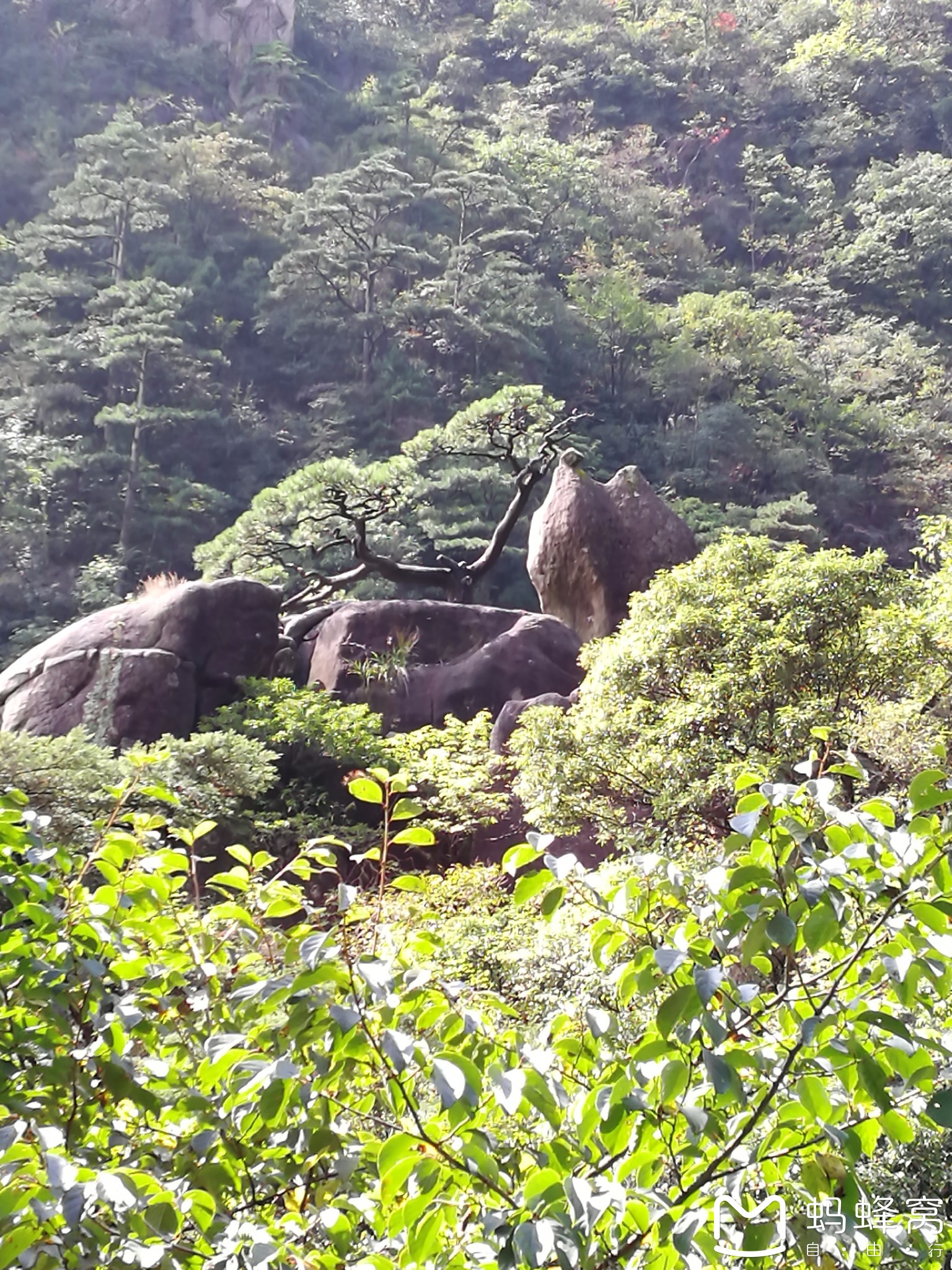 王小胖王小花梦游记仙四圆梦之旅黄山青鸾峰