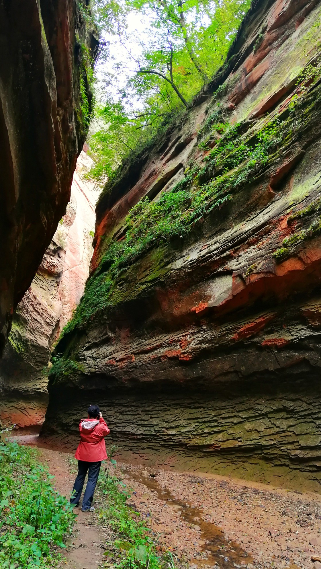 地质奇观——陕西雨岔大峡谷