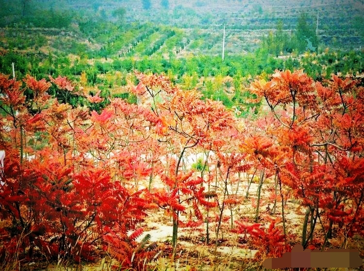 定襄景点介绍,定襄旅游景点,定襄景点推荐 - 马蜂窝