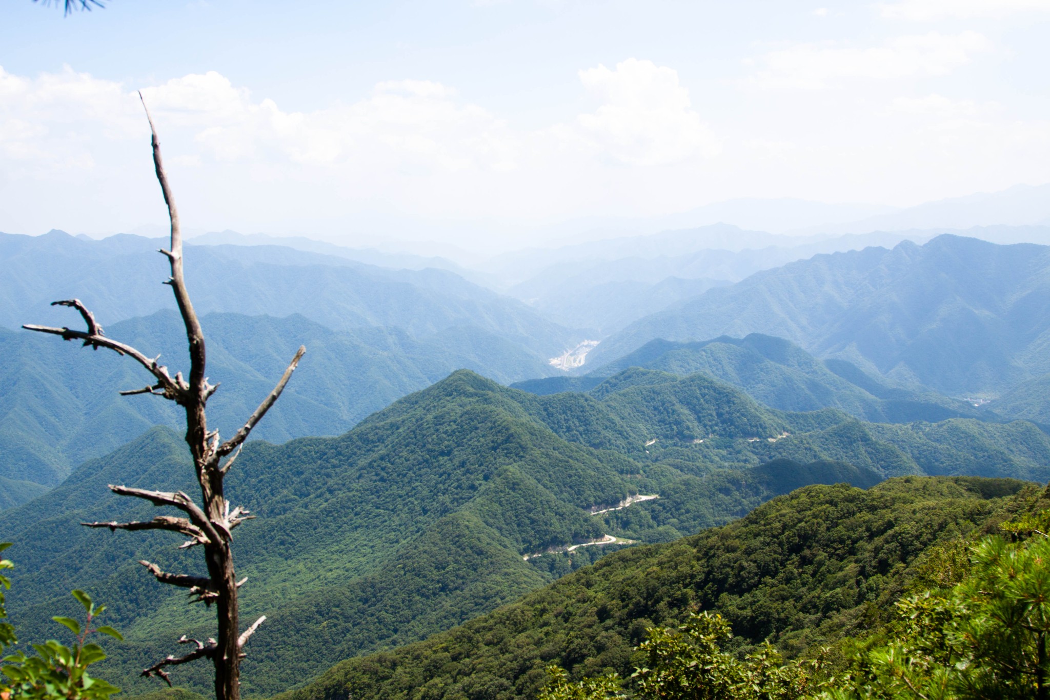 秦岭美景牛背梁