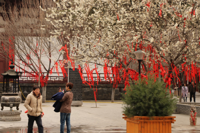 西安现在天气怎样