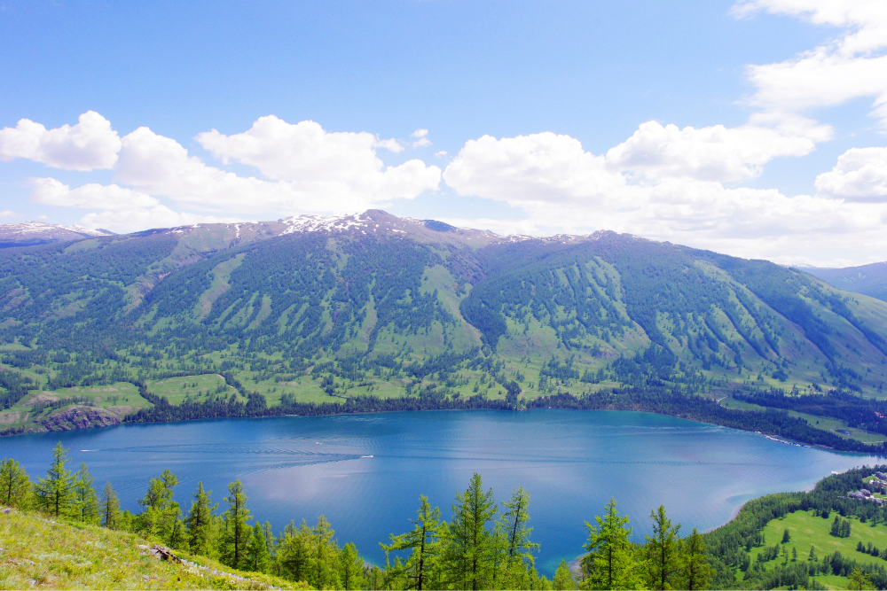 wKgBZ1kZGD6AbykjAA_MF0QYJzA71.jpeg?imageView2%2F2%2Fw%2F510%2Fh%2F8000%2Fq%2F100