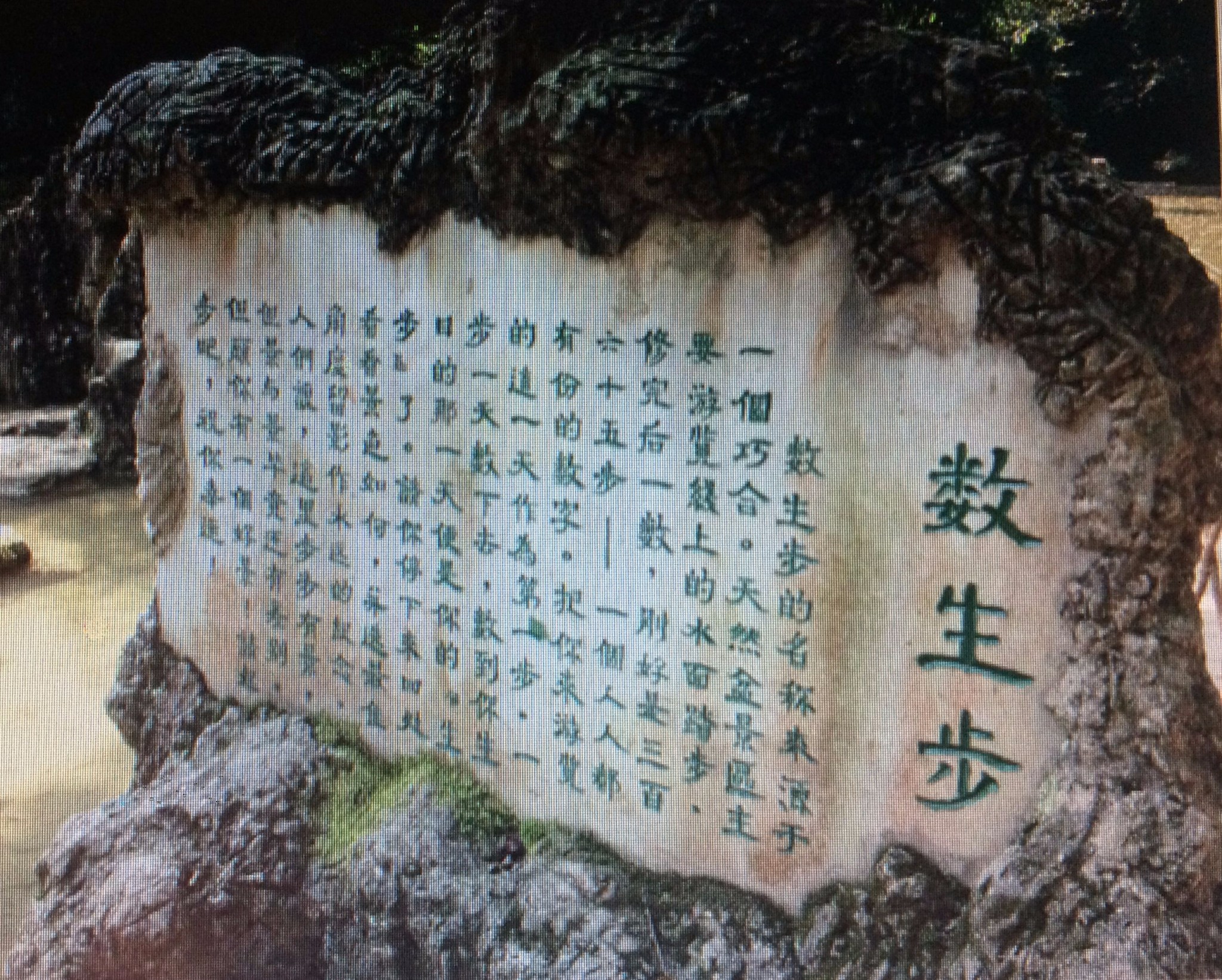 数生步——一个人人都有份的数字