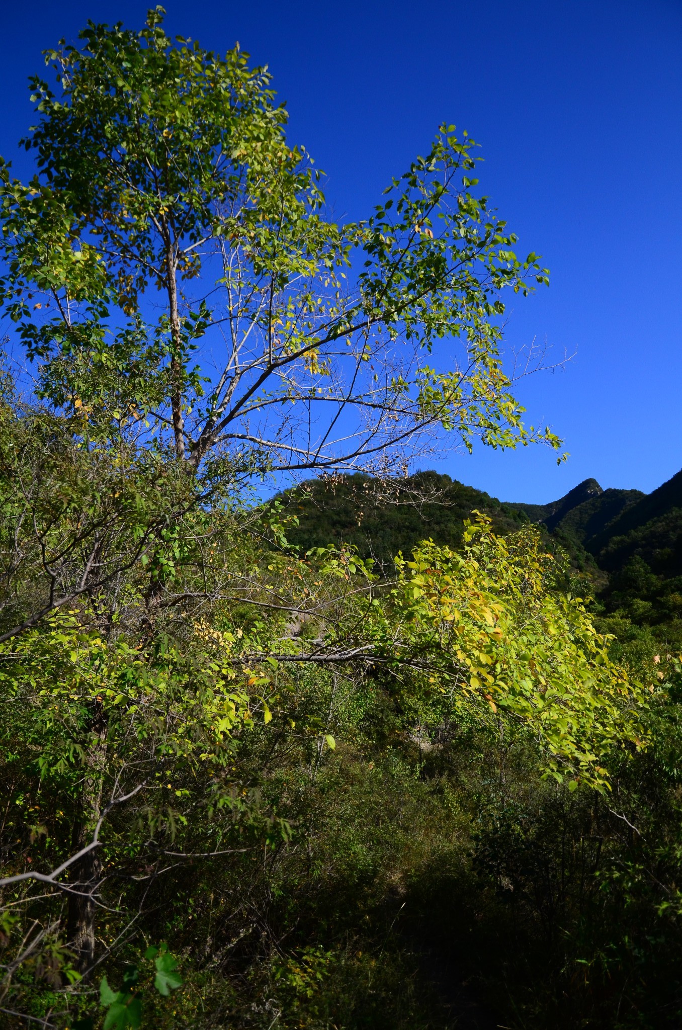 九龙十八潭自然风景区