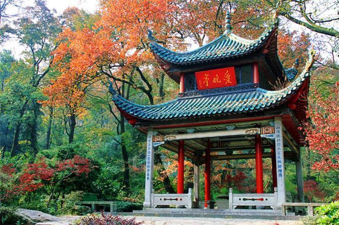 行程路线以及最近天气情况