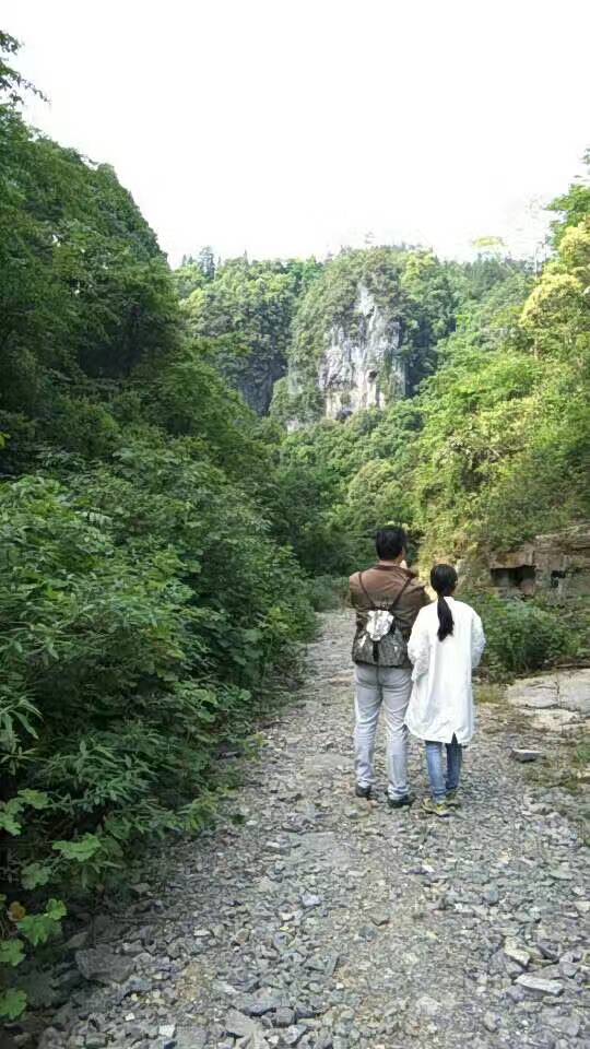 wKgBZ1kbnFGAGQFJAAF_p_ji3h450.jpeg?imageView2%2F2%2Fw%2F600%2Fh%2F600%2Fq%2F90