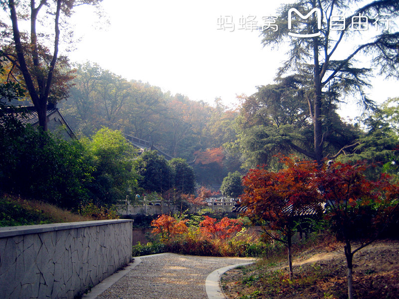 迟到的栖霞山游记,南京旅游攻略 - 马蜂窝