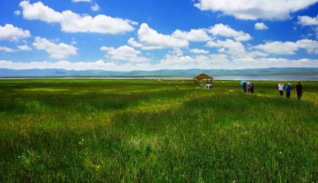 绝美甘南之碌曲_游记