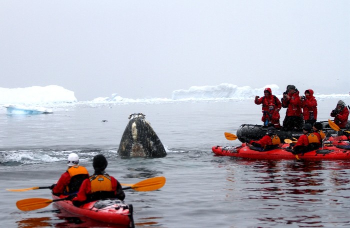 哪个季节去南极好?什么时候去南极最好
