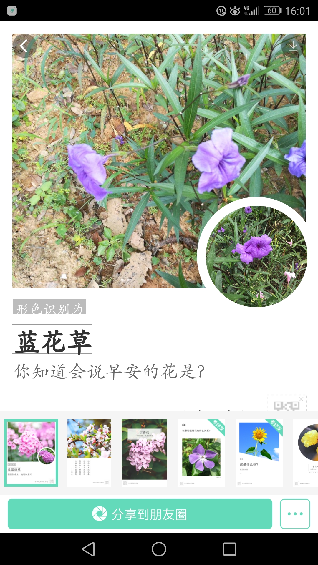 〔形色〕识花,花与植物的名字一拍即知___一款让你与孩子一起嗨happy