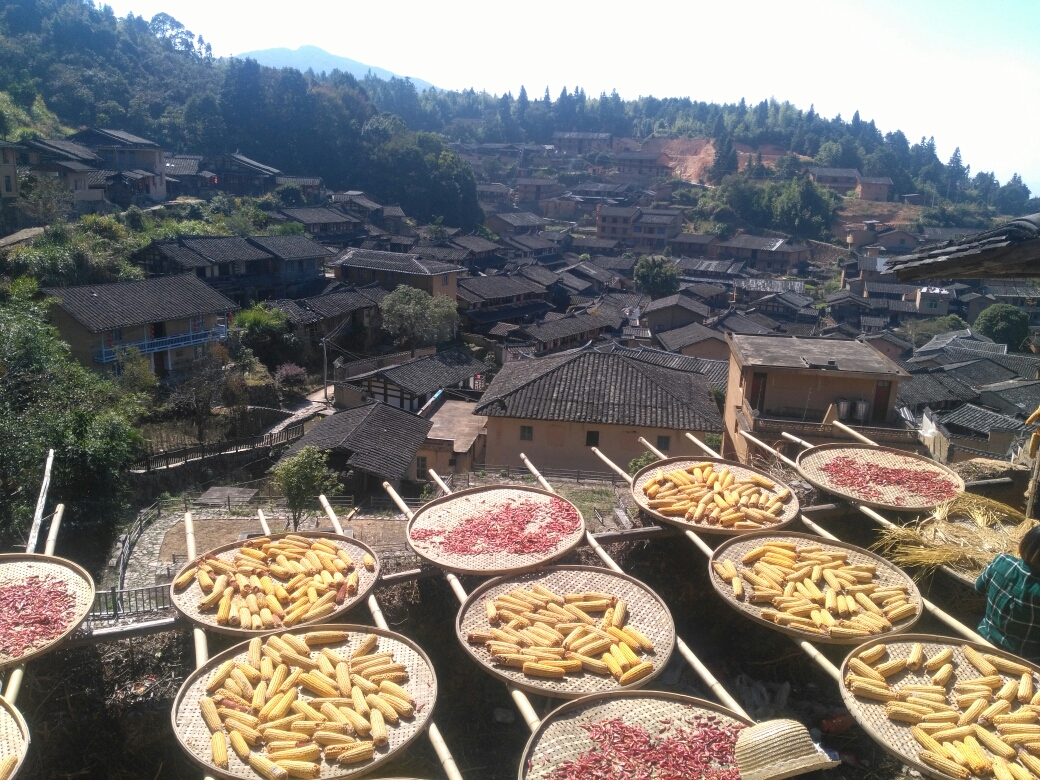 晒秋!最美乡村游记—尤溪桂峰村