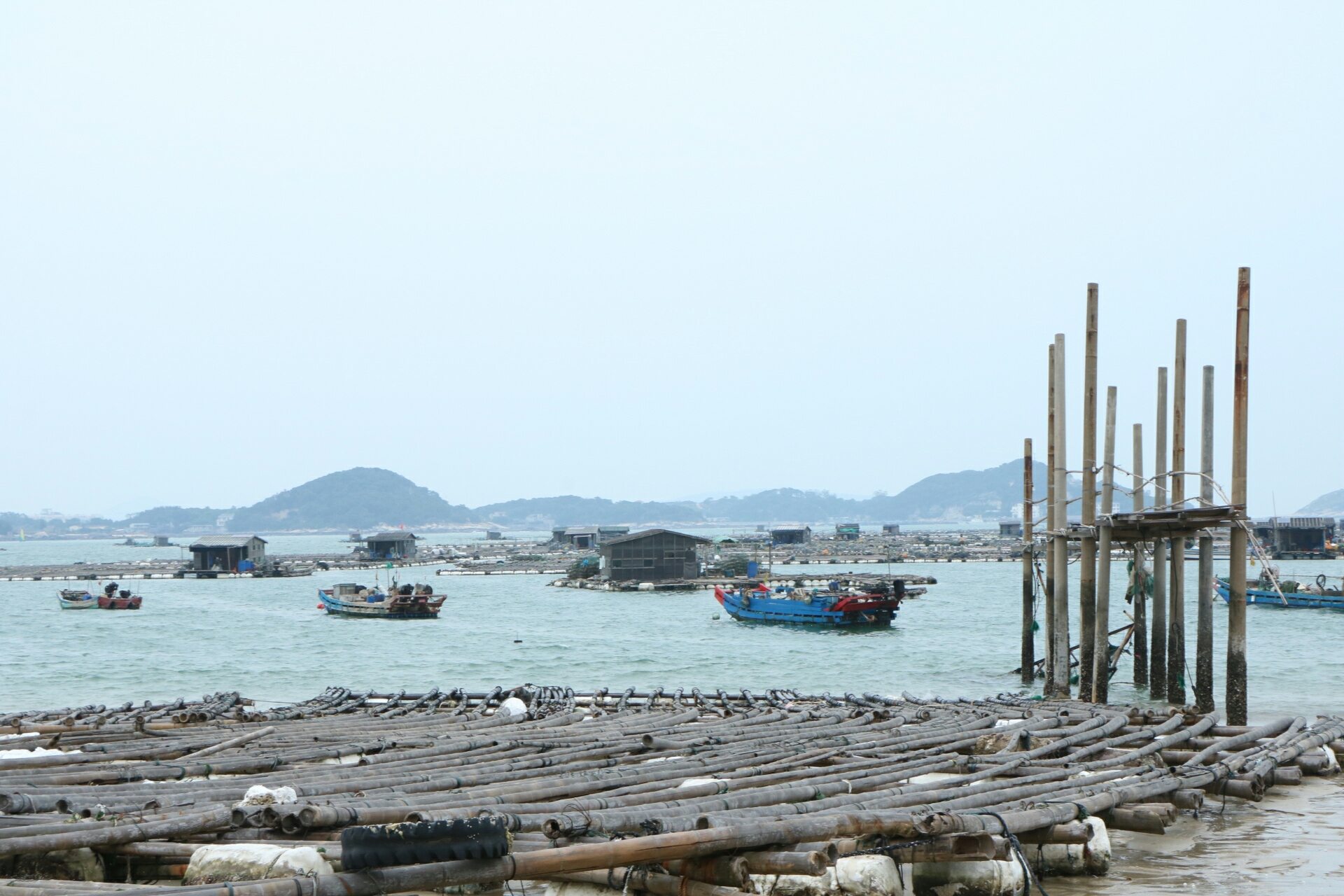 仙居下各镇多少人口_2019仙居下岸水库(3)