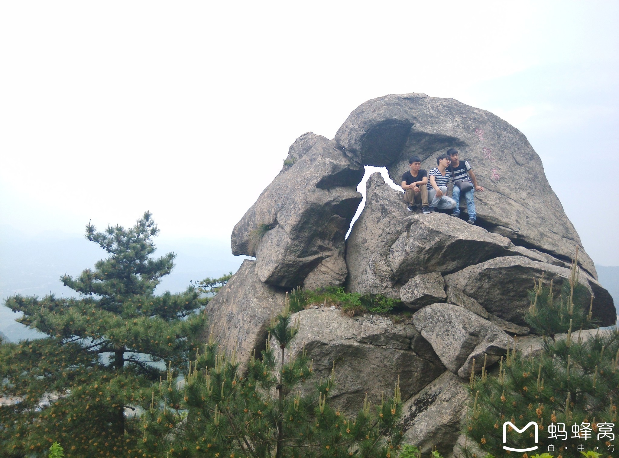 jm—杜鹃花海,大别山国家地质公园之麻城龟峰山