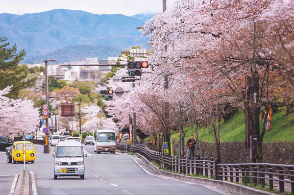 青森县