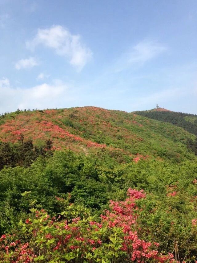 仙姑岽花开春末,天然去雕饰,原生态仙境一游,万载旅游攻略 - 马蜂窝