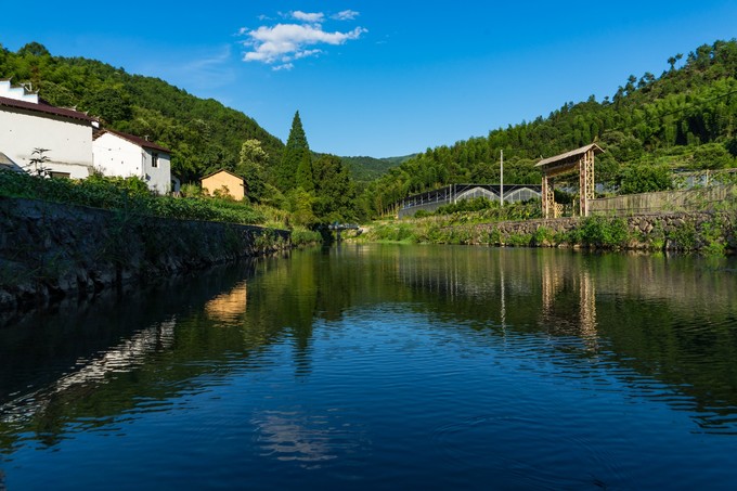 青田旅游图片