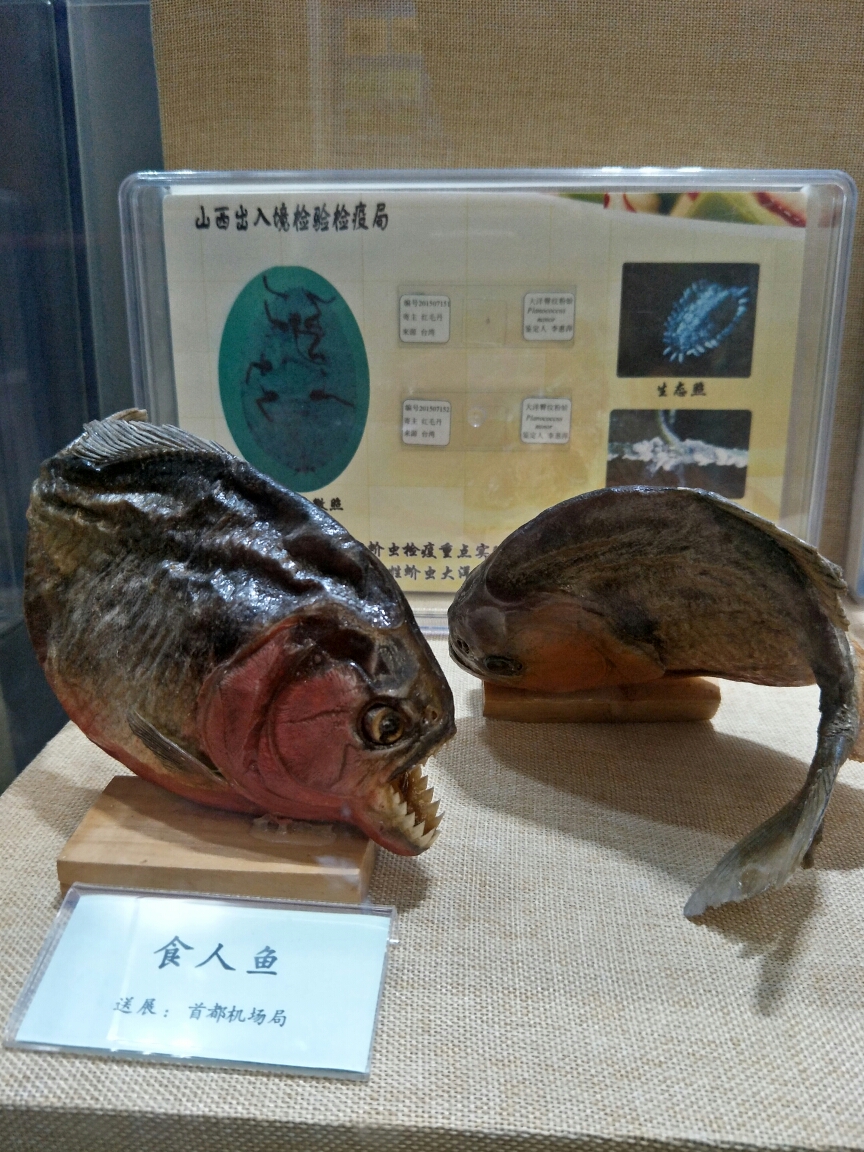 北京国家动物博物馆