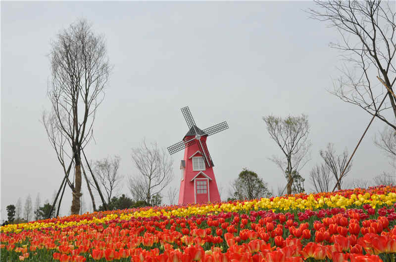 嘉兴永欣希尔顿逸林酒店2天1晚(含云澜湾四季花海乐园)