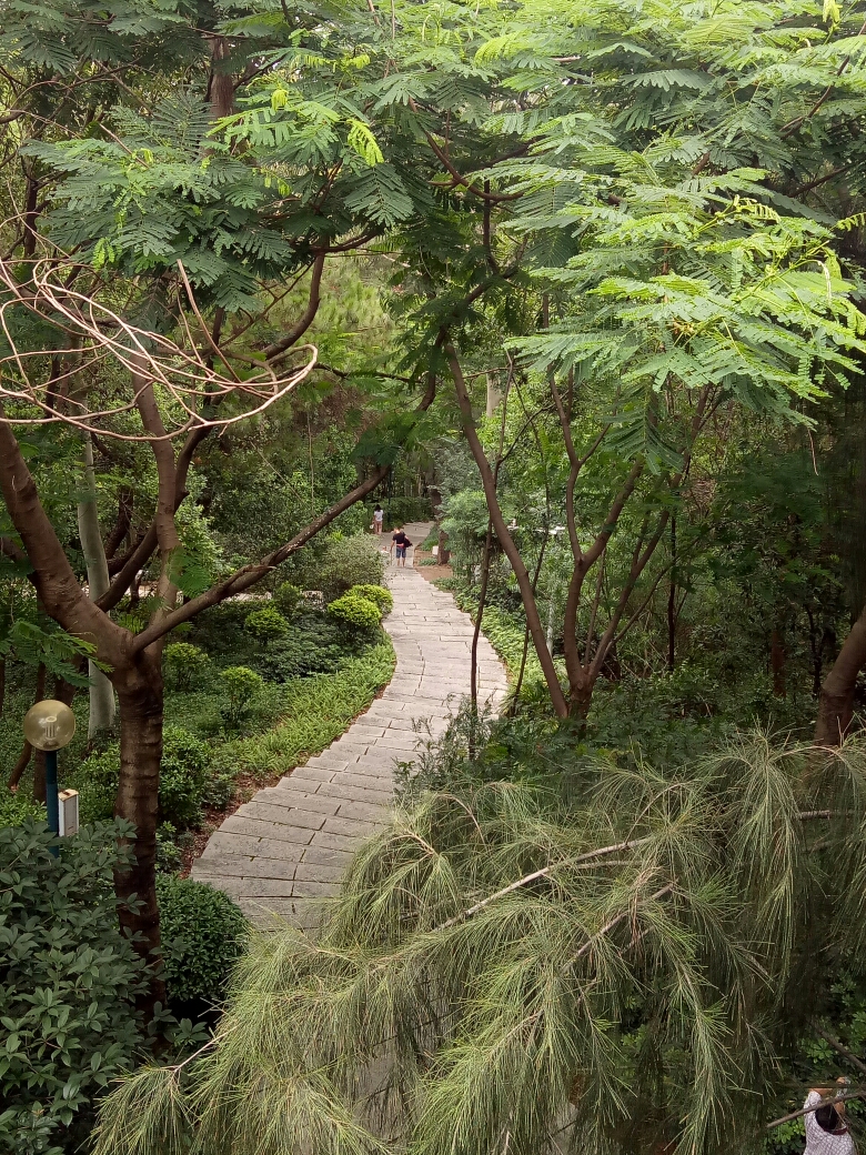 马鞍山公园