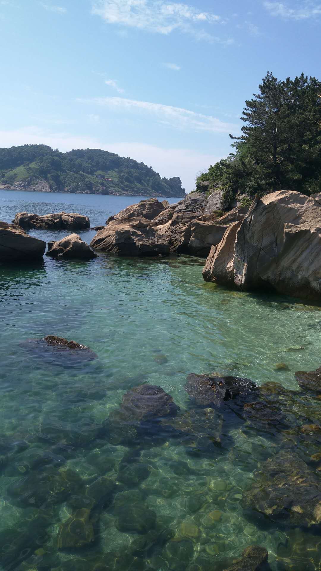 跟我走吧,我们一起去大长山岛—喂海鸥,捡贝壳,看日出日落,听听大海在